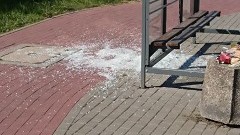 Malbork: Kto posprząta szkła? Czyli zbita szyba na przystanku autobusowym.
