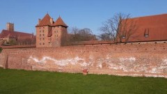 Malbork. Muzeum Zamkowe wyjaśnia skąd biały nalot na średniowiecznych murach.