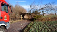 Tydzień pod znakiem usuwania skutków silnych wiatrów – raport sztumskich&#8230;