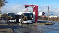 Malbork. Informacja o kursowaniu autobusów w okresie Wszystkich Świętych.