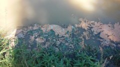 UWAGA NA SINICE! JEŚLI ZAOBSERWUJEMY TAKIE ZJAWISKO, WARTO ROZWAŻYĆ REZYGNACJĘ Z KĄPIELI - 10.08.2015