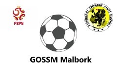 Dwa zwycięskie spotkania dla GOSSM Malbork pomiędzy GOSSM Elbląg -&#8230;