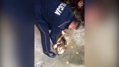 Do dwóch lat więzienia grozi mężczyźnie, który kłusował na Nogacie w Białej Górze – 28.10.2015