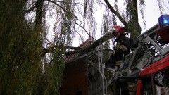 Usuwanie skutków wichury w powiecie malborskim. Powalony konar drzewa na dachu poczty przy 17 Marca w Malborku – 09.11.2015