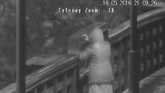 Malbork: 81- letnia kobieta chciała skoczyć z "drewnianego" mostu. Strażnicy miejscy udaremnili próbę samobójczą – 16.05.2016