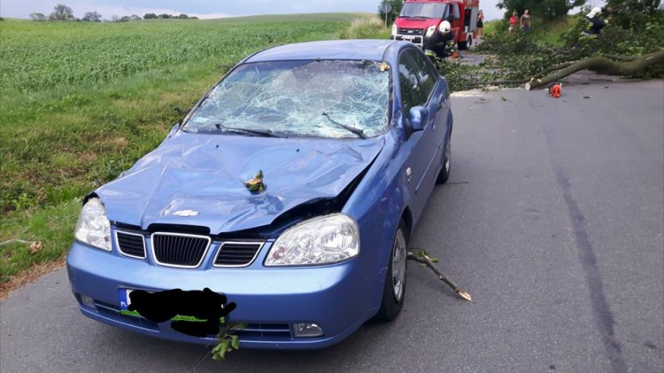 Niebezpieczna aura. Interwencje do połamanych drzew i konarów. Weekendowy&#8230;