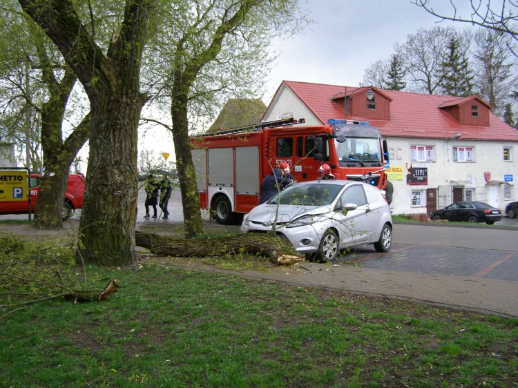 Sztum: Drzewo spadło na forda! O krok od tragedii... – 11.04.2017