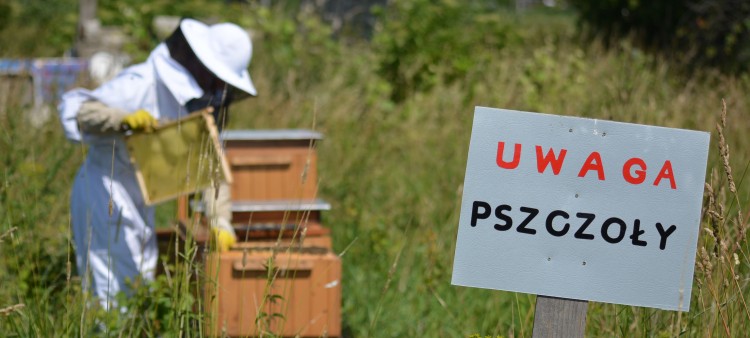 Grozi nam klęska ekologiczna. Na Żuławach niedługo nie będzie pszczół.&#8230;