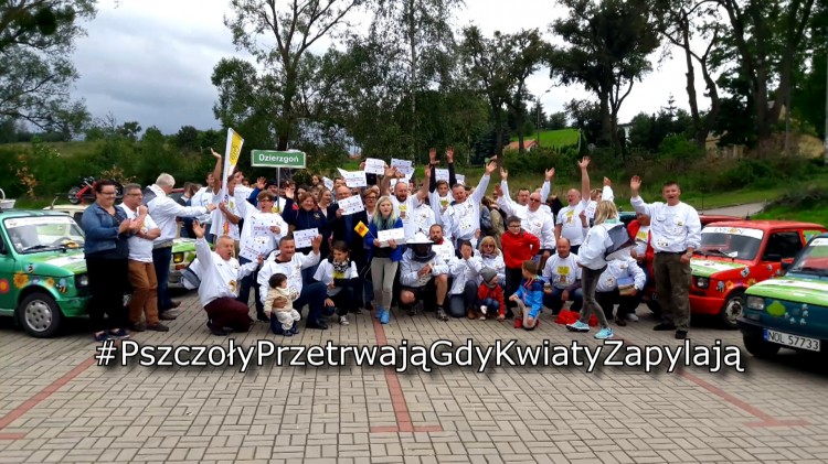 Dzierzgoń: Małym fiatem w obronie pszczół. Jadą przez Polskę, sadzą&#8230;