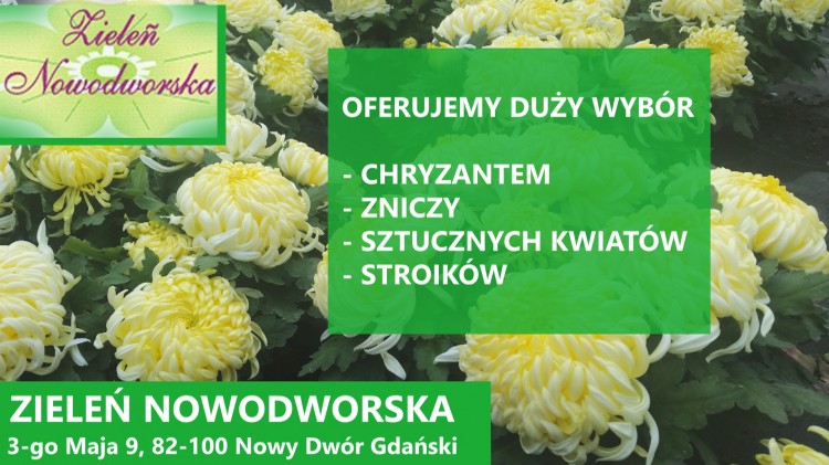 ZAPRASZAMY DO ZIELENI NOWODWORSKIEJ PRZY UL. 3-GO MAJA 9 W NOWYM DWORZE&#8230;