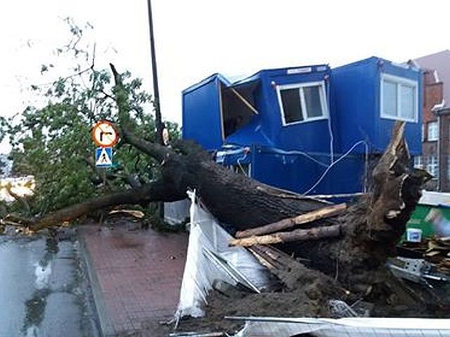 O krok od tragedii w centrum Malborka. Powalone drzewo uszkodziło barak&#8230;