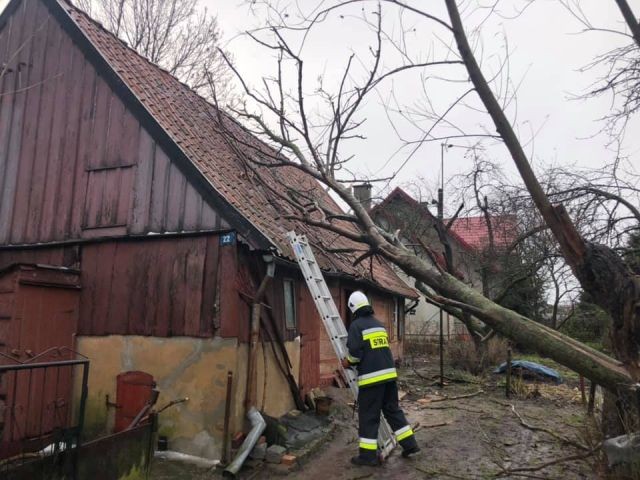 Dworek: Połamane drzewo spadło na dom. Kolejne skutki wichury.