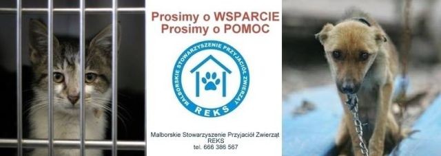 Każdy może pomóc podopiecznym Malborskiego Stowarzyszenia Przyjaciół&#8230;