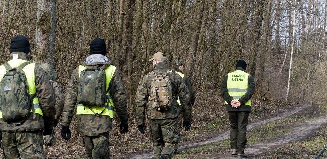 Żołnierze WOT oraz Nadleśnictwo Elbląg prowadzili poszukiwania dzików&#8230;