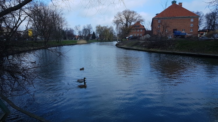 Zobacz postęp prac przy budowie bulwaru nad Tugą w Nowym Dworze Gdańskim.