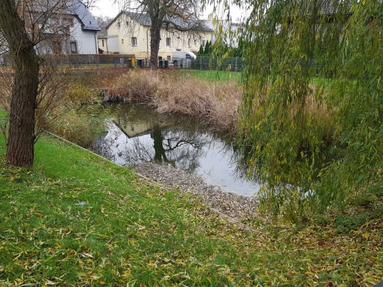 Ogłoszenie Wójta Gminy Stare Pole z dnia 23 marca 2021 r.