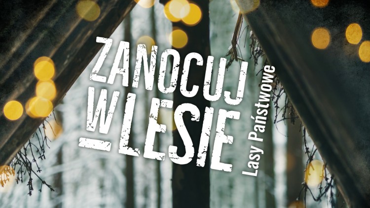 Nadleśnictwo Elbląg. Rusza program „Zanocuj w lesie”.