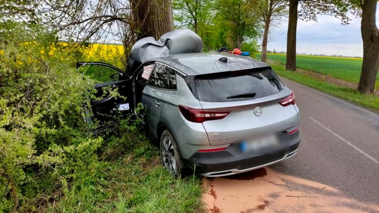 Lichnowy. Pijany kierowca sprawcą kolizji – jazdę zakończył na drzewie.