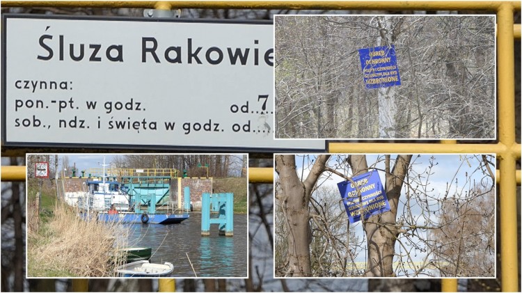 Śluza Rakowiec - odpowiedź Polskiego Związku Wędkarskiego w Elblągu.