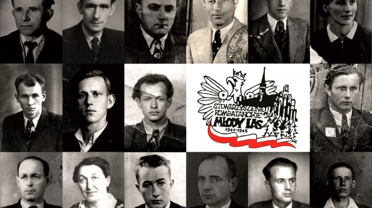 Malbork. Niech nam szumi Młody Las – nowa wystawa w Muzeum Miasta już we wrześniu.