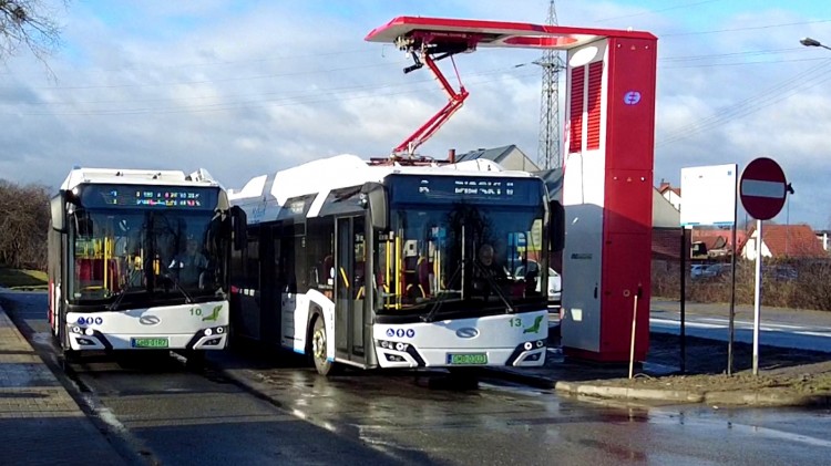 Malbork. MZK chce dokupić kolejne autobusy elektryczne i stacje ładowania.