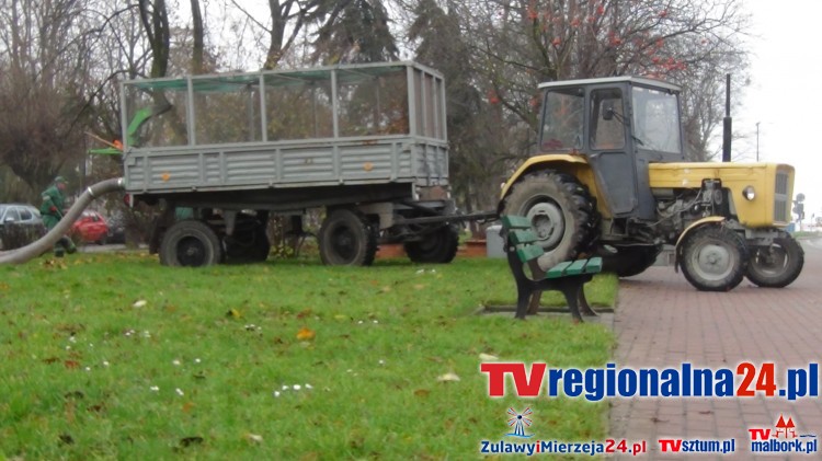 Odkurzaliście kiedyś liście? Złota Polska Jesień w Malborku - 13.11.2015