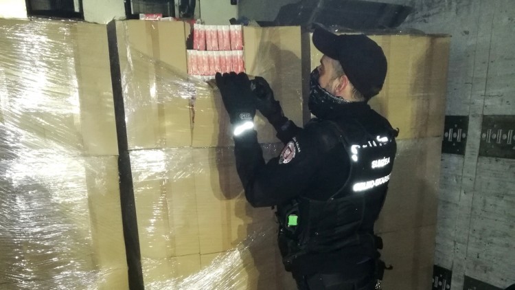Papierosy o dużej wartości ukryte pod mrożonymi rybami.