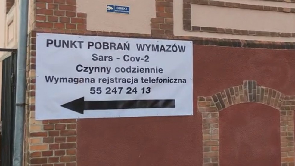 Wandale zniszczyli młode lipy w Malborku. Siedem drzew zostało złamanych