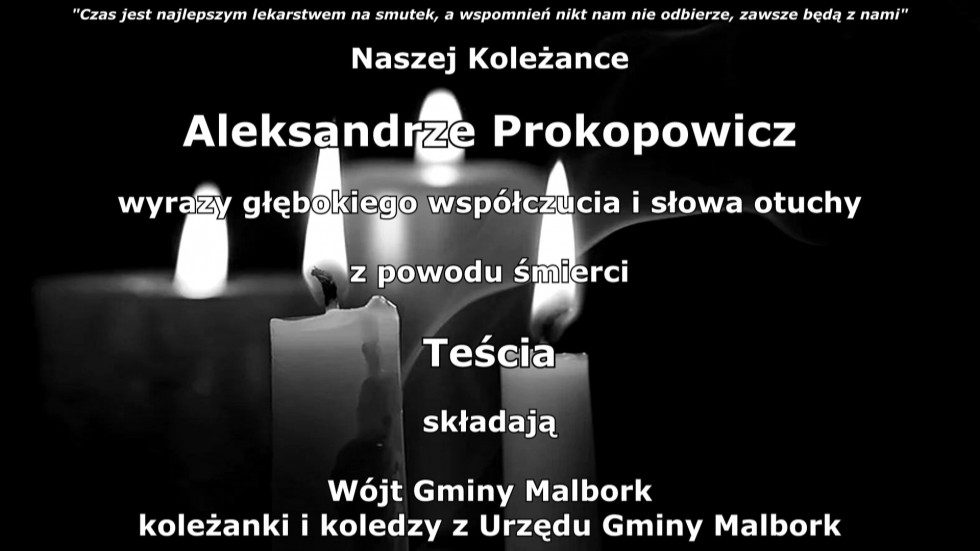 Powstanie nowa droga rowerowa z Nowego Stawu do Brzózek. Gmina otrzyma ponad 5,2 mln zł dofinansowania