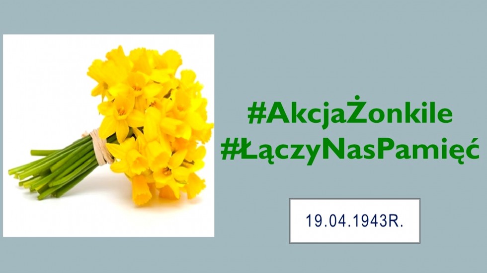 Malbork. #ŁączyNasPamięć – akcja Żonkile w ZSP3.