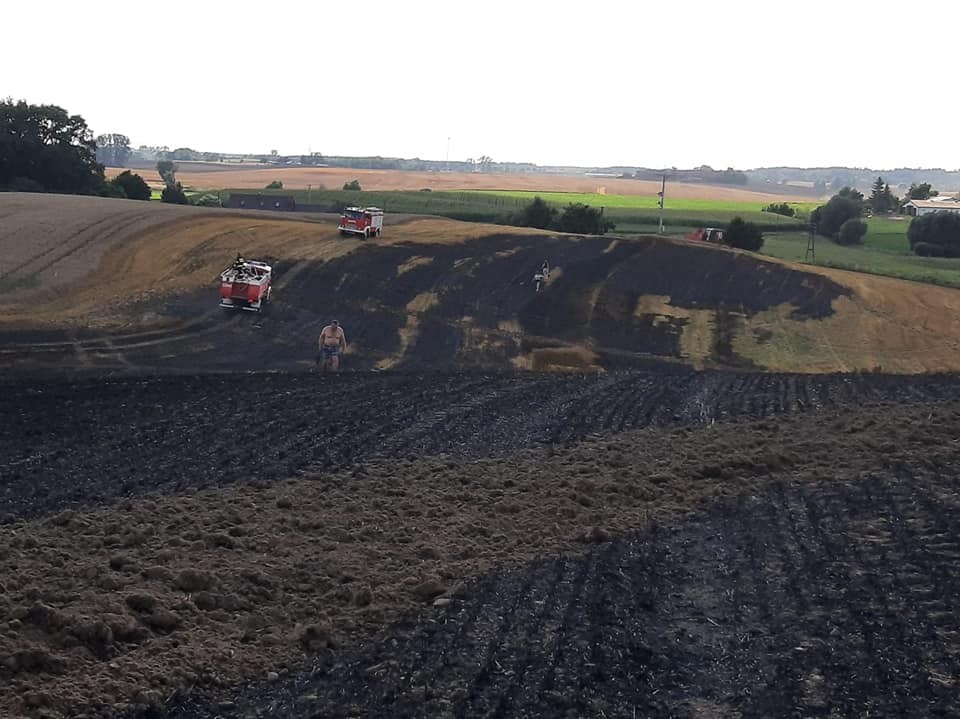 Plaga pożarów w powiecie i niebezpieczne kolizje – raport sztumskich służb mundurowych.
