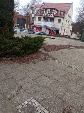 Malbork. Od wczoraj tylko kilka interwencji strażaków związanych z usuwaniem skutków silnego wiatru.