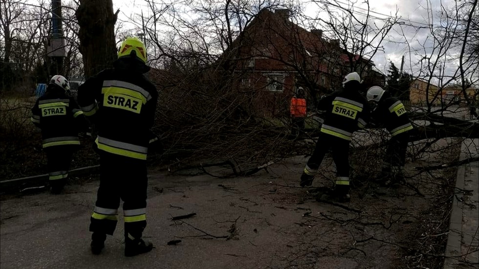 Ponad 50 interwencji w związku z silnym wiatrem w regionie – weekendowy raport malborskich służb mundurowych.