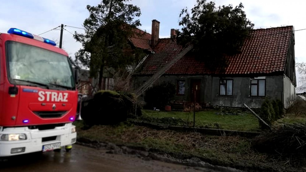 Sztum. Ponad 80 interwencji w związku z usuwaniem skutków porywistego wiatru.