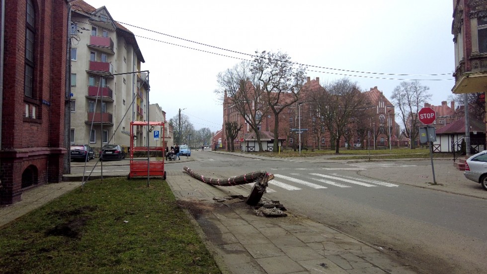 Malbork. Pijany kierowca skosił słup oświetleniowy na Jagiellońskiej – grozi mu kara do 4,5 lat więzienia.