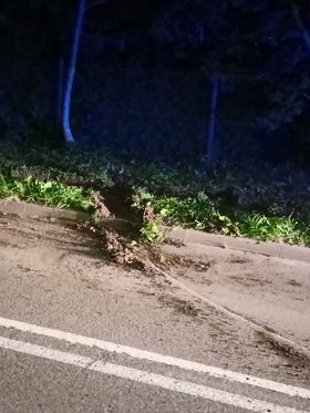 Malbork. Pirat drogowy na ul. Konopnickiej - porzucił auto i zastawił wyjazd z osiedlowego parkingu.