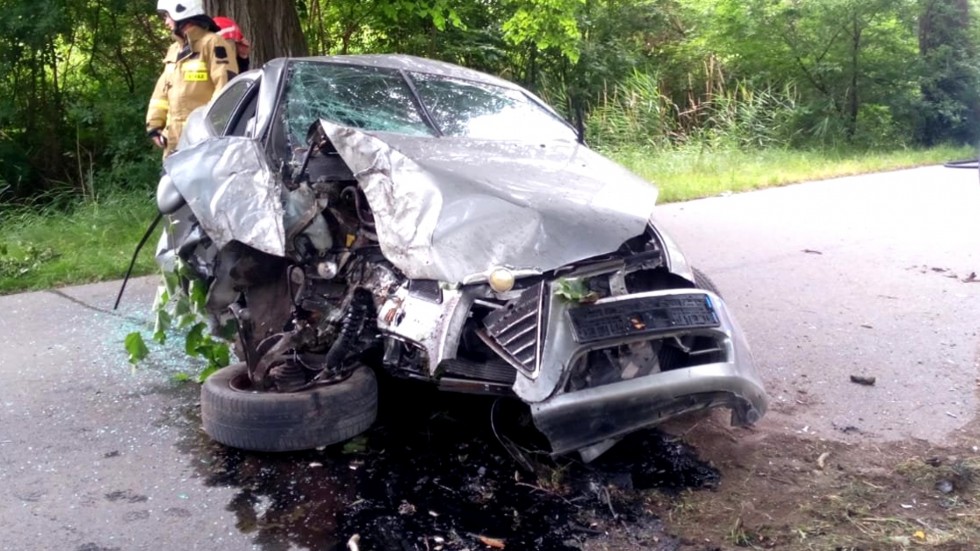 Nowy Dwór Gdański. Plaga pijanych kierowców – jeden z nich uderzył w drzewo i trafił do szpitala.