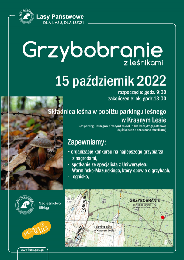 Nadleśnictwo Elbląg. W sobotę grzybobranie z leśnikami.