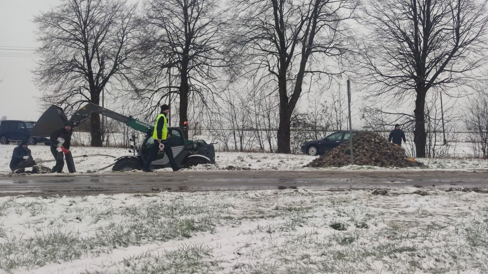 Malbork. Zima w natarciu – ciężarówka z burakami wylądowała w rowie.
