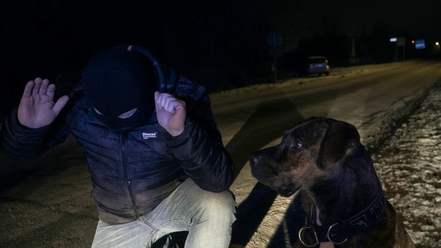 Nowy Dwór Gdański. Bezpieczne i radosne święta – kilka rad od policjantów. Wideo