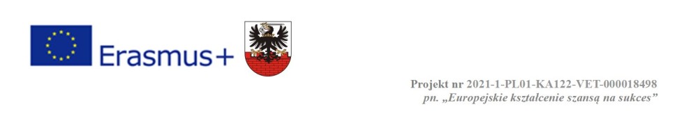 Malbork. Europejskie kształcenie szansą na sukces - podsumowanie projektu.
