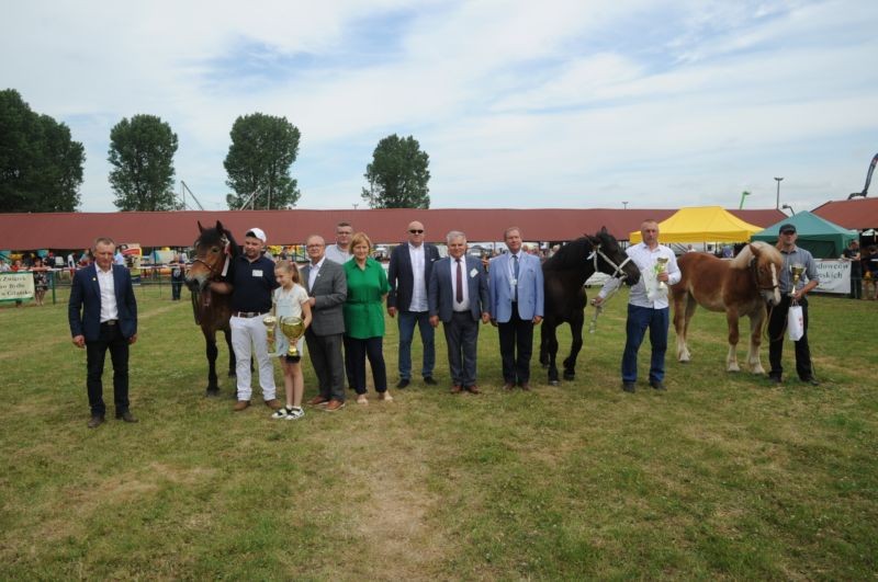 Ogólnopolski Młodzieżowy Czempionat Koni Sztumskich w Starym Polu.