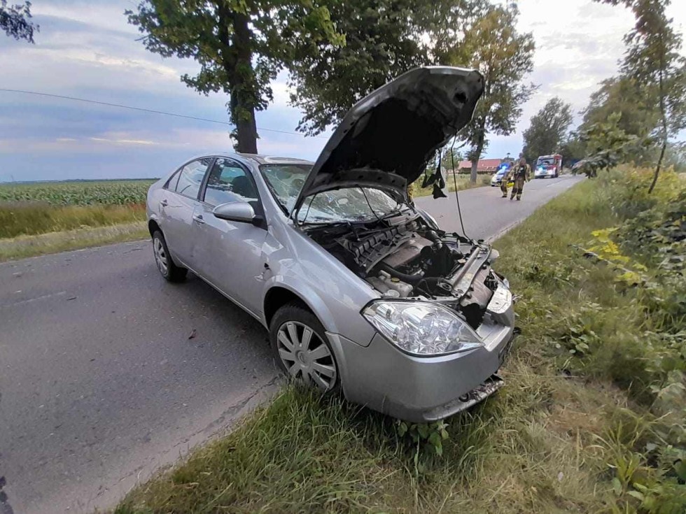 Gmina Stare Pole. Pijany kierowca uderzył w drzewo i uciekł z miejsca zdarzenia.