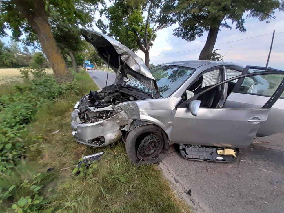 Gmina Stare Pole. Pijany kierowca uderzył w drzewo i uciekł z miejsca zdarzenia.