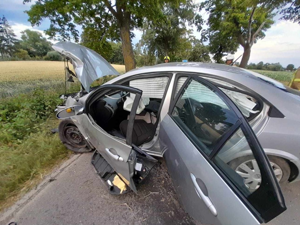 Gmina Stare Pole. Pijany kierowca uderzył w drzewo i uciekł z miejsca zdarzenia.
