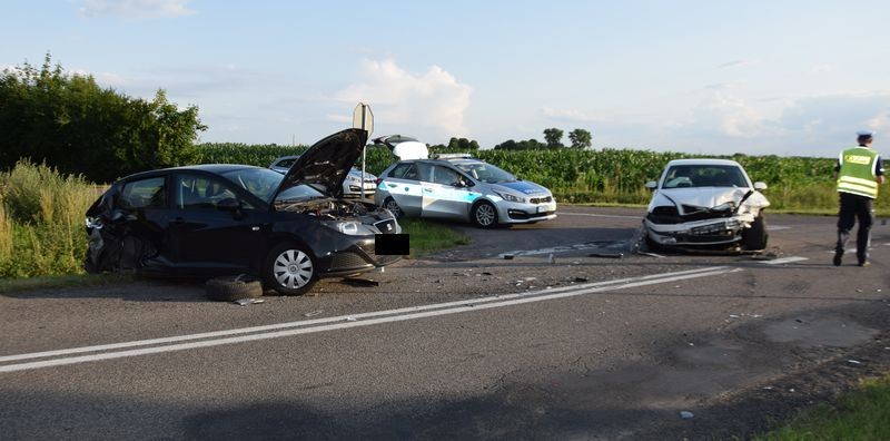 Gmina Nowy Staw. Policja podała przyczynę czwartkowego wypadku w Trępnowach.