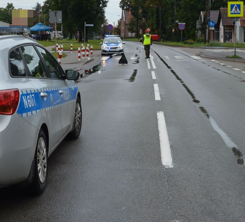 Malbork. Policja zatrzymała sprawcę potrącenia nastolatki na przejściu dla pieszych.