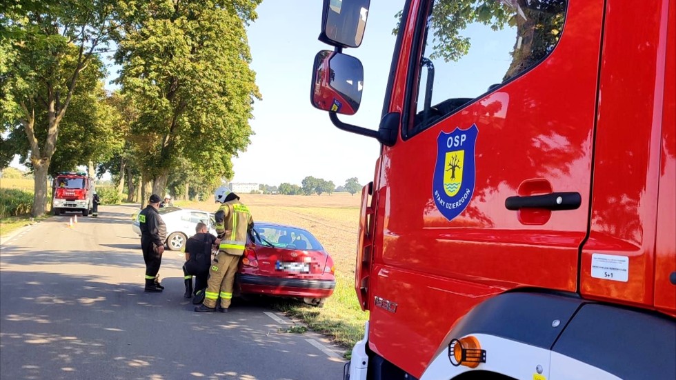 Powiat sztumski. Osobówką w drzewo – kierowca stracił panowanie nad pojazdem.