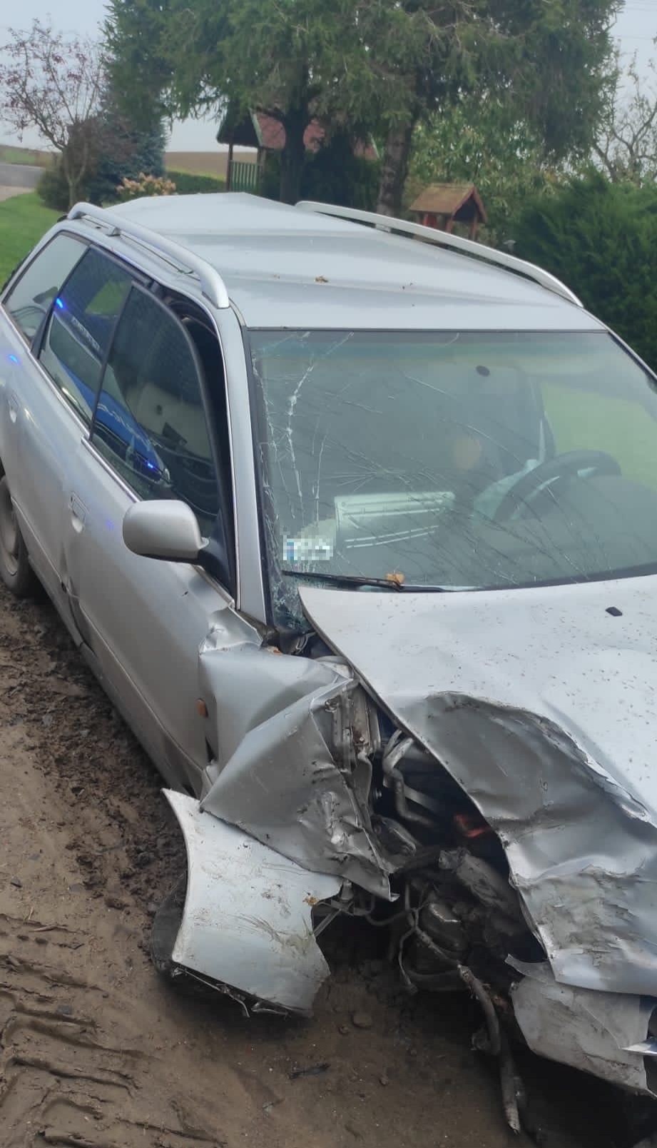 Powiat sztumski. Auto z przyczepką z bykiem w środku wpadło do rowu – kierowca z sądowym zakazem prowadzenia pojazdów.