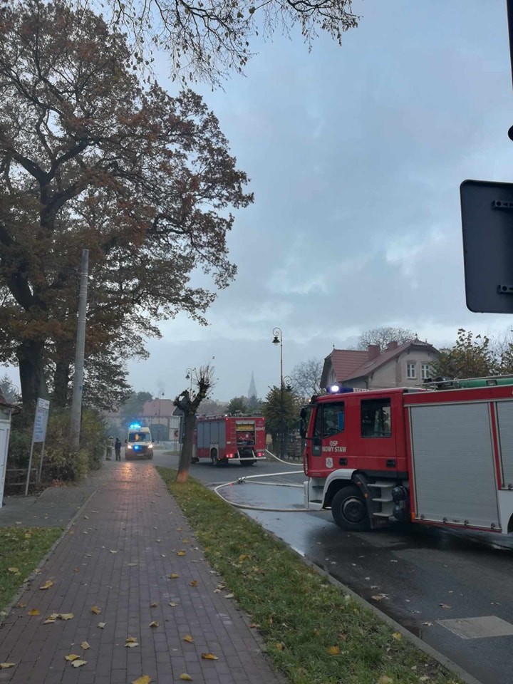 Pożar osobówki w Nowym Stawie i uwięziona sowa – tygodniowy raport malborskich służb mundurowych.